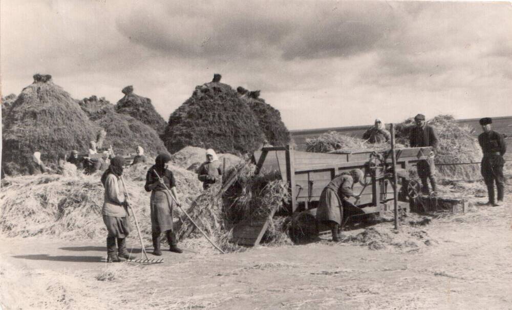 Фото. Обмолот зерна в колхозе имени Сталина Стародубского района, 1949 г.