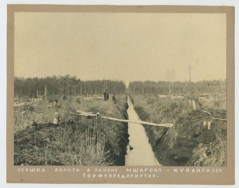 Фотография видовая. Осушка болота в районе Мшарово-Купанского торфопредприятия