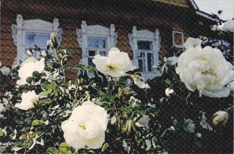 Открытка с изображением фрагмента дома на фоне цветов пионов. 2000 г.