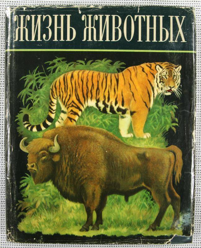 Книга. Жизнь животных. В 6 томах. Том 6. Млекопитающие, или звери. Под редакцией С.Наумова, А.Кузякина.