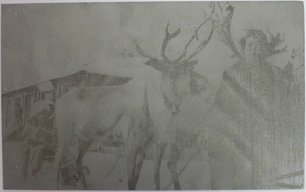 Клише для высокой печати  с изображением оленевода с оленями  для газеты Зейский вестник, 1996 год.