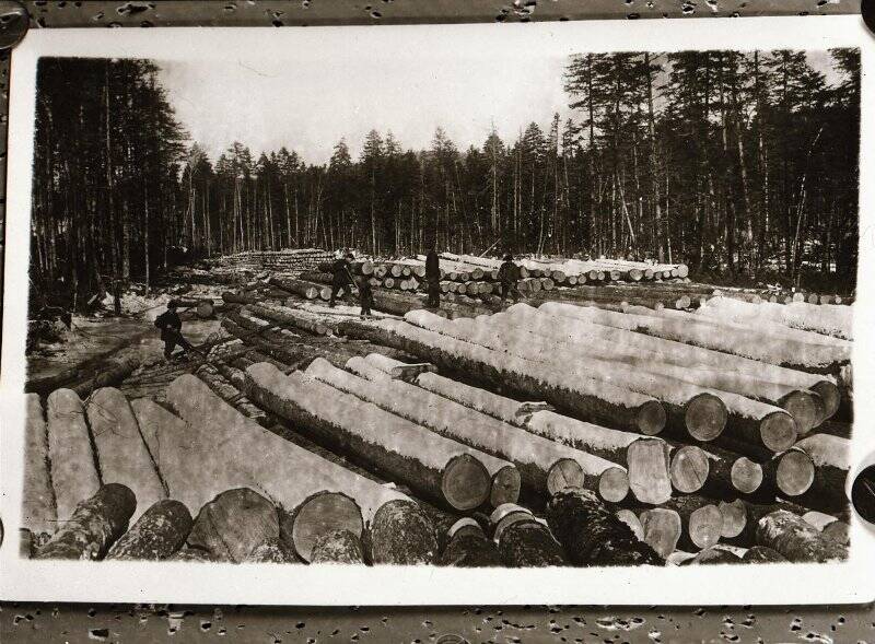 Фотонегатив  сюжетный. Штабелёвка строительного леса на строительной площадке,1933 г.