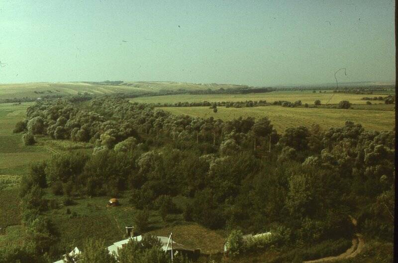 Слайд. Вид на лесополосу вдоль железной дороги Валуйки-Балашов.