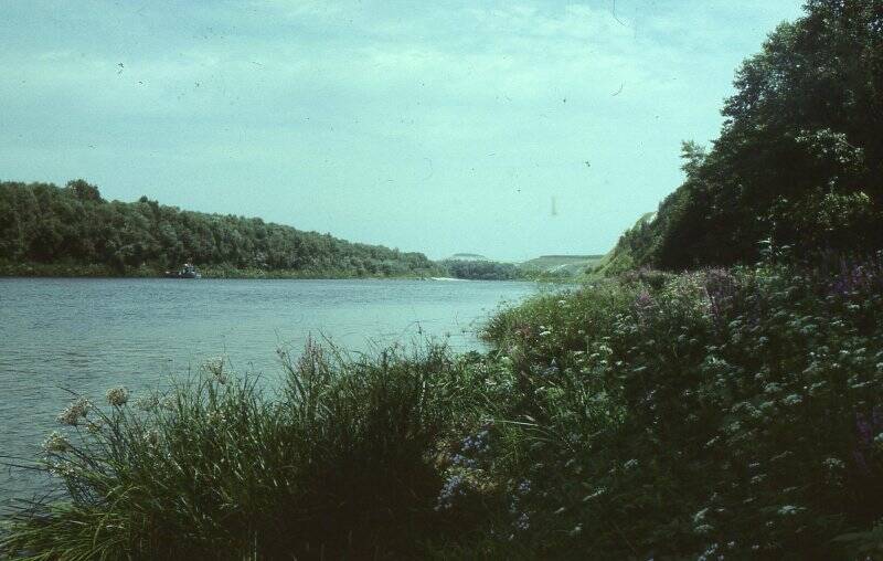 Слайд. Вид на реку Дон и меловой останец «Шатрище».