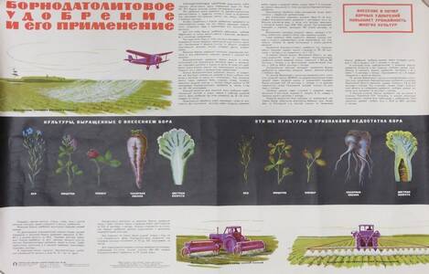 Плакат. Борнодатолитовое удобрение и его применение.