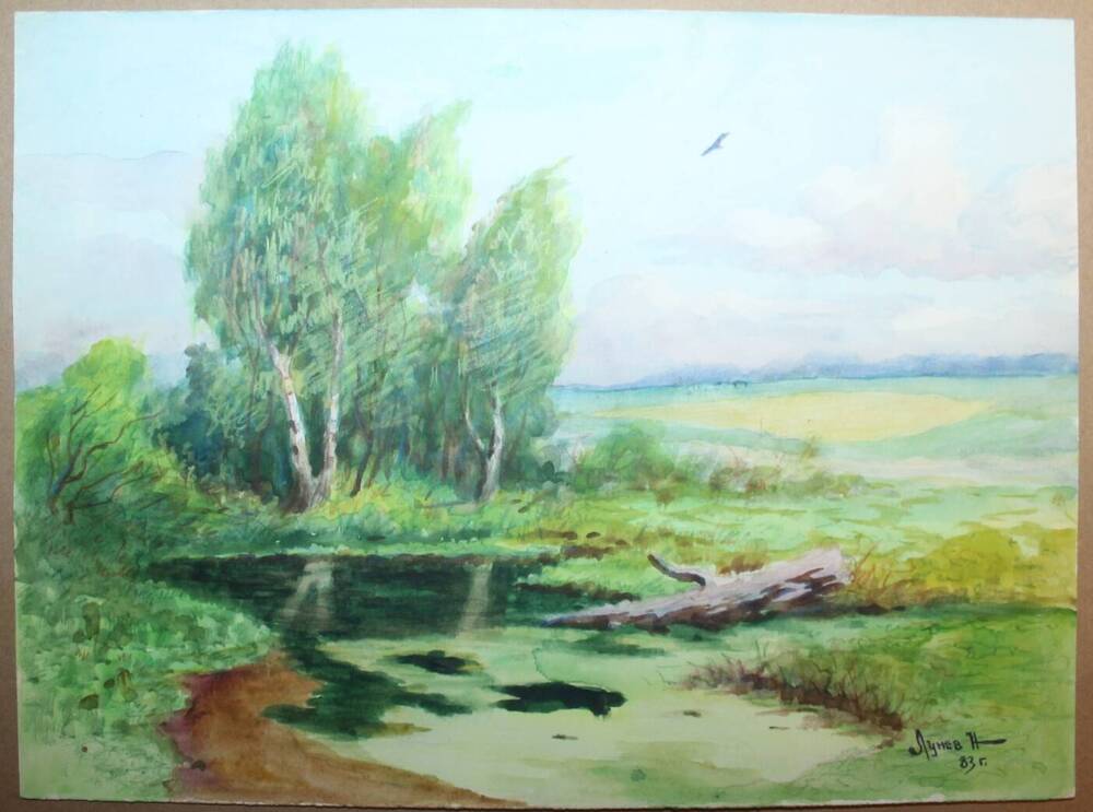 Рисунок Летний пейзаж. Заросший пруд, автор Н.А. Лунев