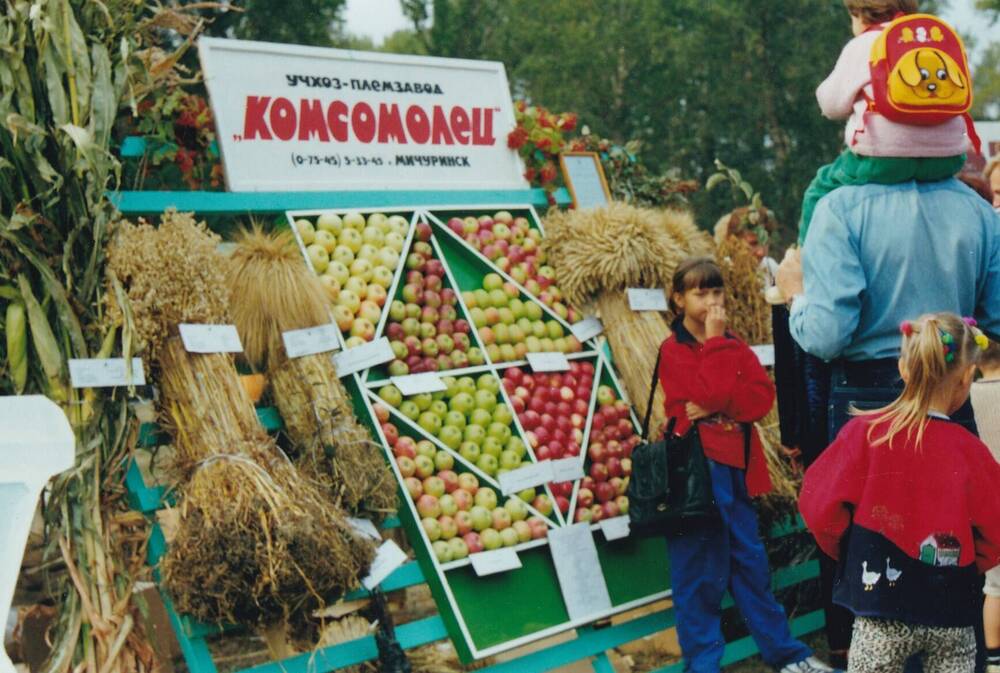 Фото цветное: праздник «Урожай – 2002», продукция учхоз-племзавода «Комсомолец» г. Мичуринска