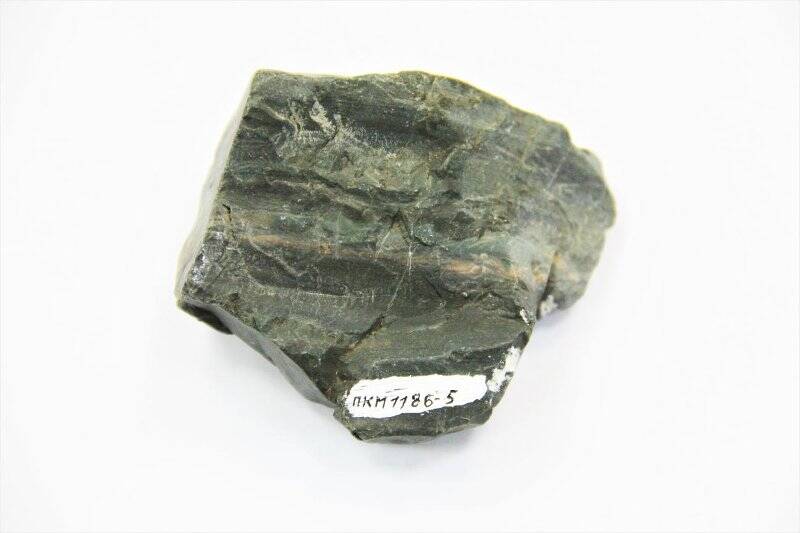 Метаморфическая горная порода. Сланец глинистый. Clay shale