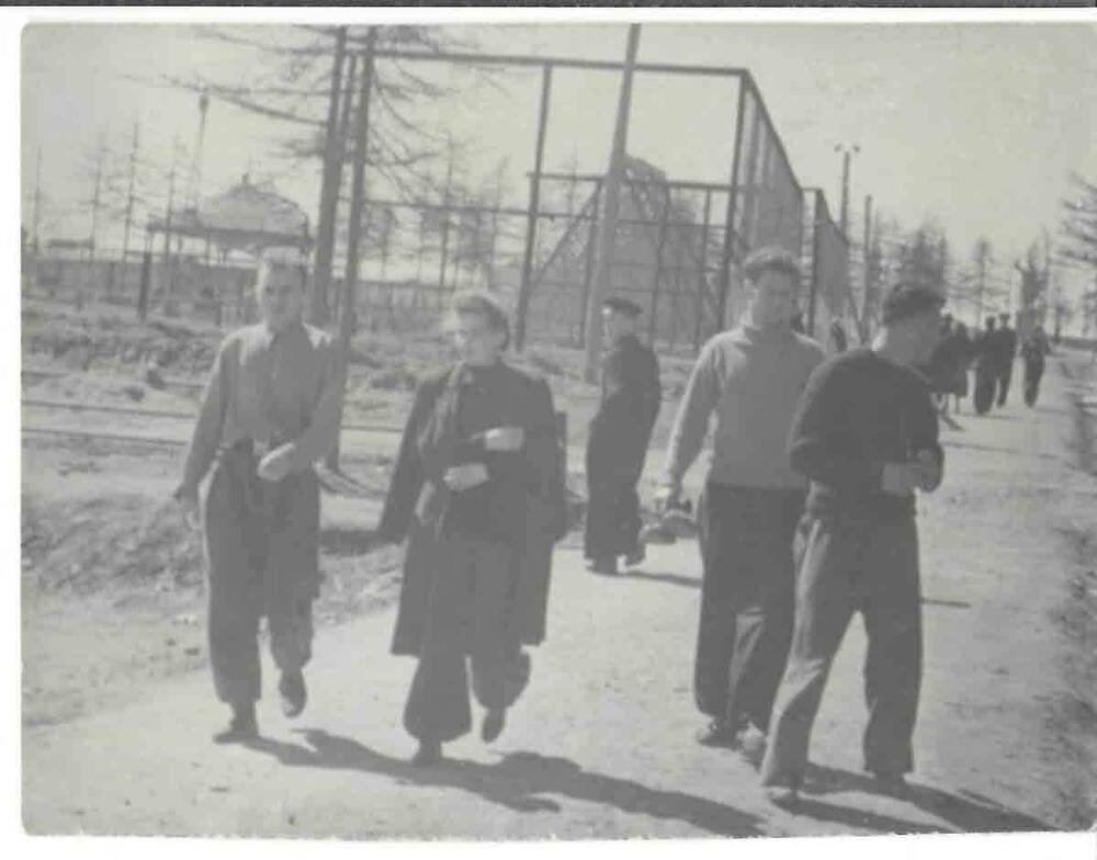 Фотография. В черно-белом цвете. Группа молодых людей прогуливается в городском парке. Магадан. 1950-е гг.