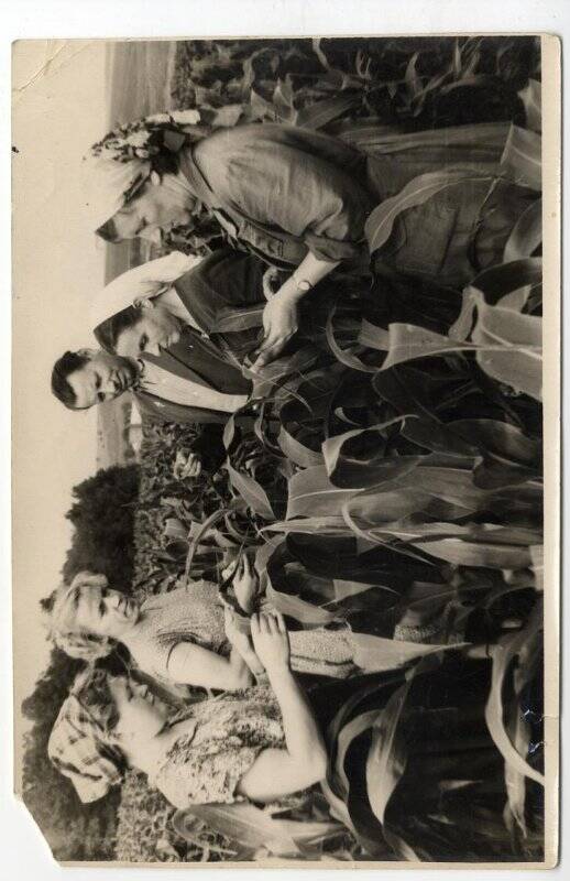 Фото видовое. Специалисты с/х Большевик на кукурузном поле. Запечатлены директор с/х И.Н.Иванов (в центре) и четыре женщины. На дальнем плане лес и поля.