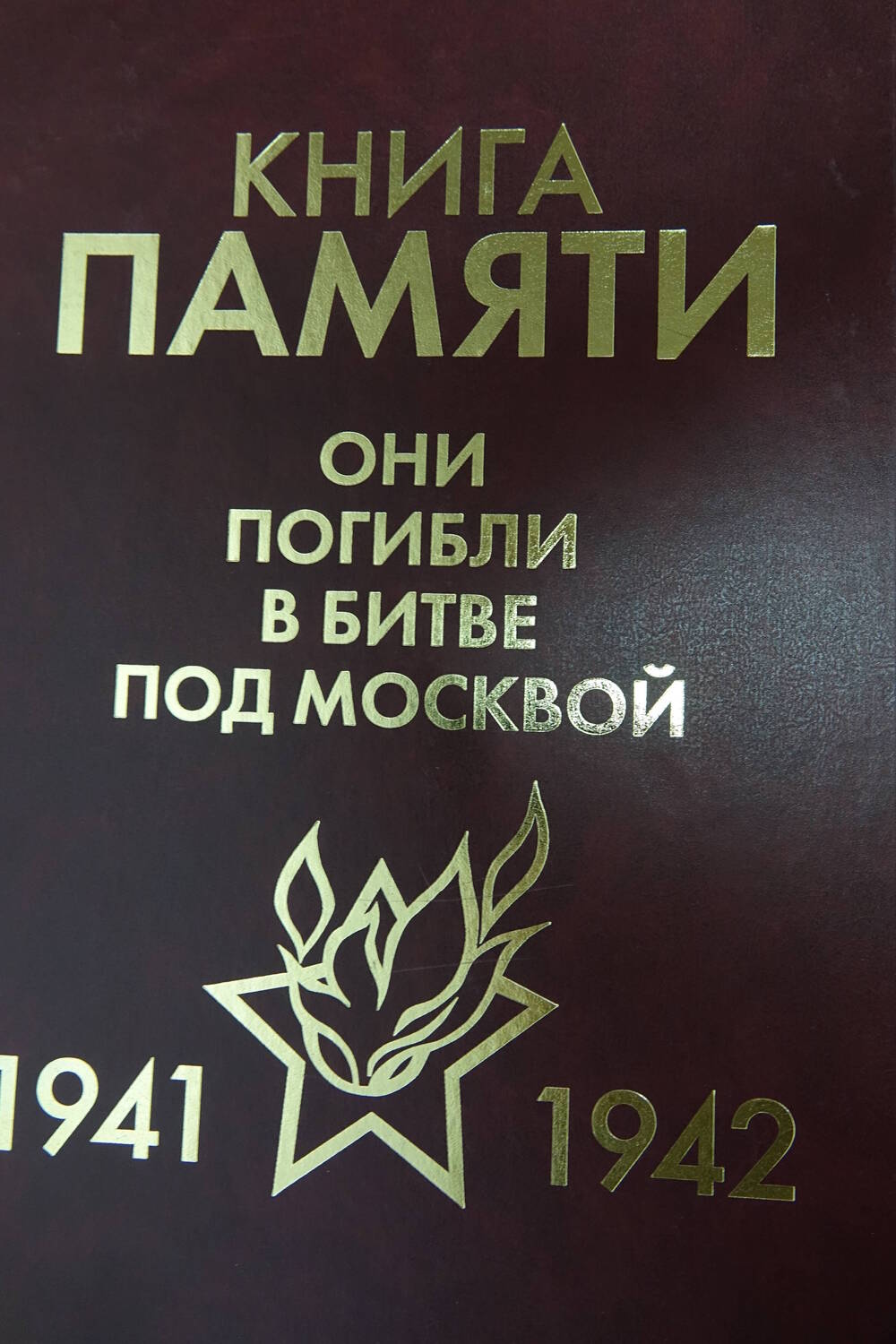Книга Памяти «Они погибли в битве под Москвой   1941-1942гг.» Том 3 «В»