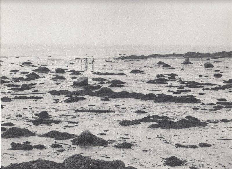 Фотография. Обширная полоса осушенного берега в часы отлива. Онежский полуостров.