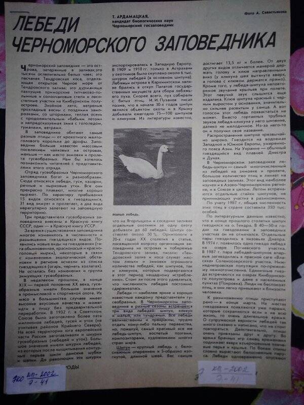 Статья из журнала, «Лебеди Черноморского заповедника»