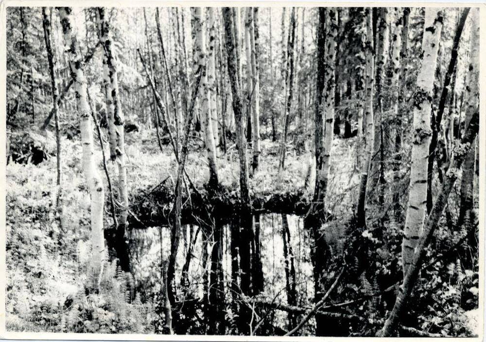 Фото чёрно-белое, видовое Провал на месте массового захоронения, ст. Мишаяг, Печорский район, 1991 г.