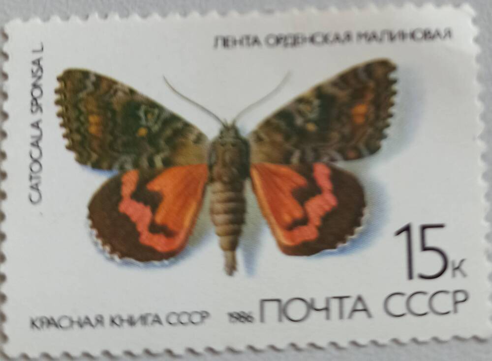 Марка ПОЧТА СССР 15 к. 1986. На марке изображена бабочка c серыми и коричневыми разводами