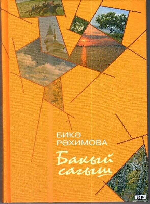 Книга.Автор Бикә Рәхимова. «Бакый сагыш»