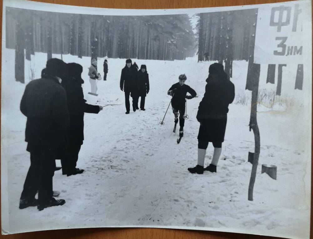 фотография лыжных соревнований