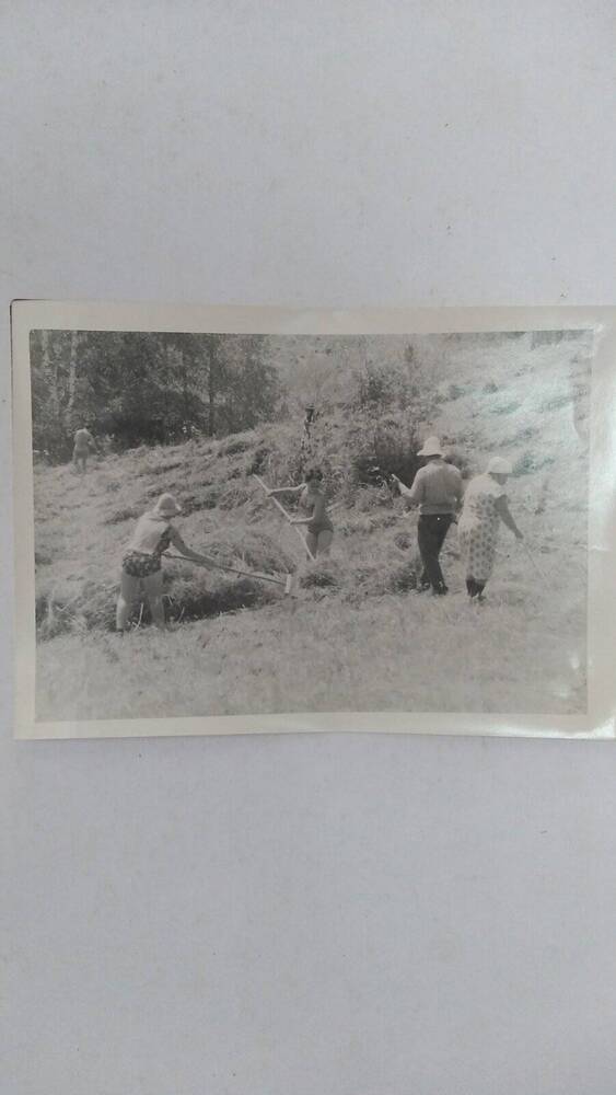 Фотография сотрудников Таштыпского РОВД во время уборки сена