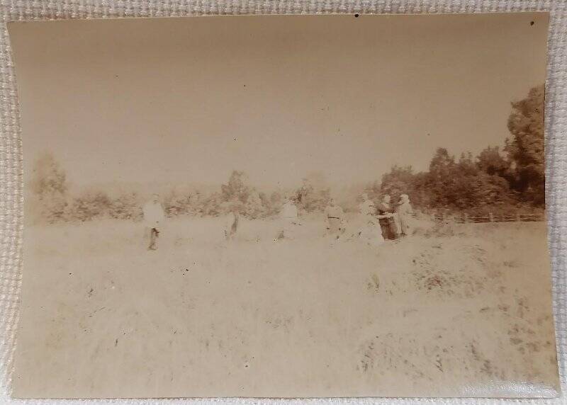 Фотография. Группа людей стоит в поле, крайний слева П.В. Танеев.