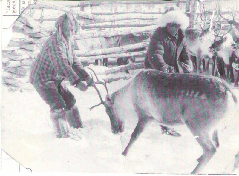 фотография. Переснимок. Осенняя кампания