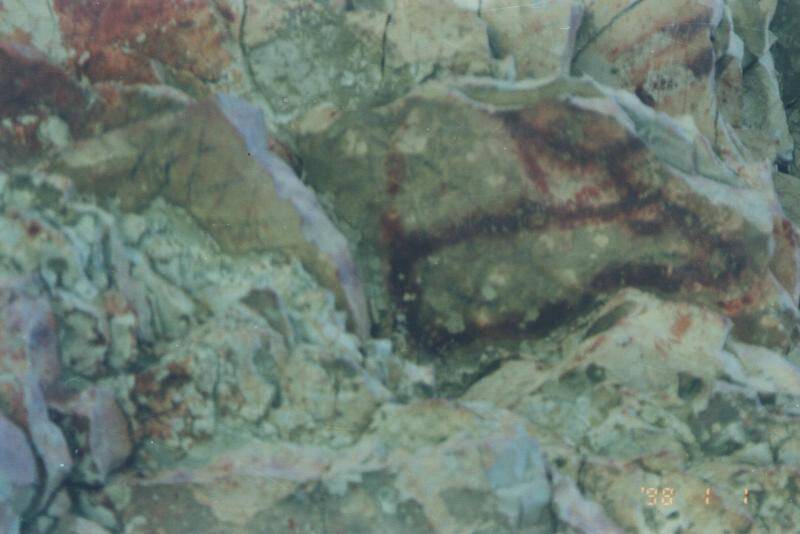 фотография. Наскальный рисунок горы Сэбэкэ (Сэвэкэ). Олень