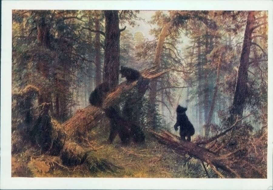 Сосновый бор картина сочинение. Картина «утро в Сосновом лесу». И.И. Шишкин. 1889 Г.. Картина Шишкина утро в Сосновом Бору.