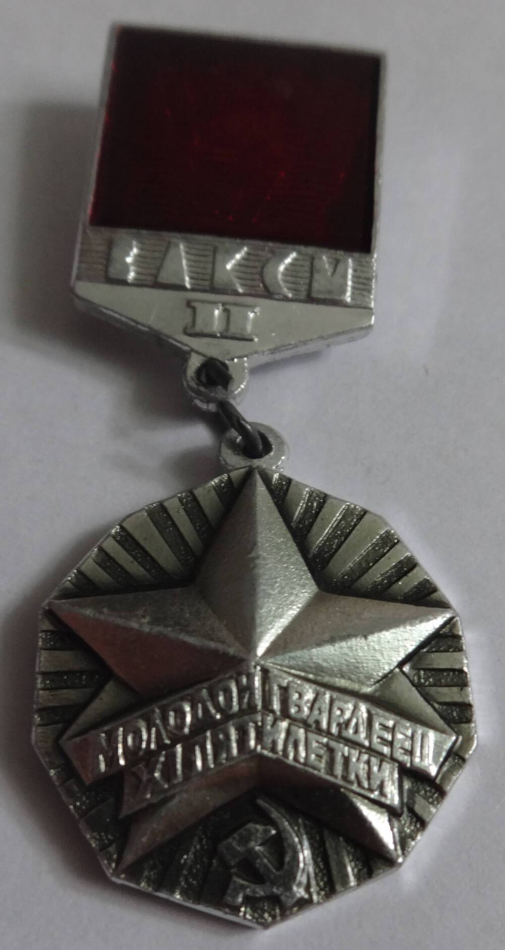 Знак ЦК ВЛКСМ «Молодой гвардеец ХI пятилетки» А.И. Брагина