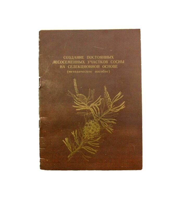Брошюра. Создание постоянных лесосеменных участков сосны на селекционной основе