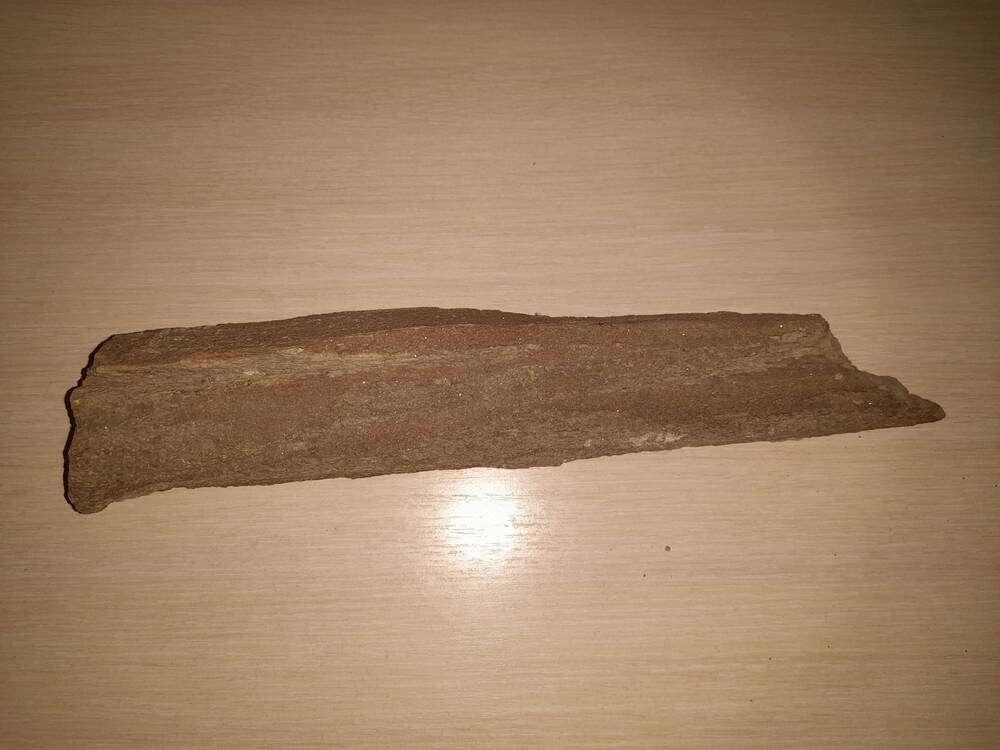 Осколок - часть окаменелого дерева в форме ножа
