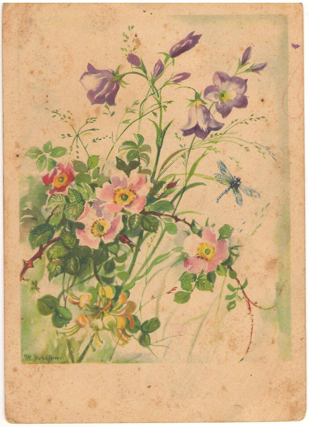 Карточка почтовая «Цветы». Германия.