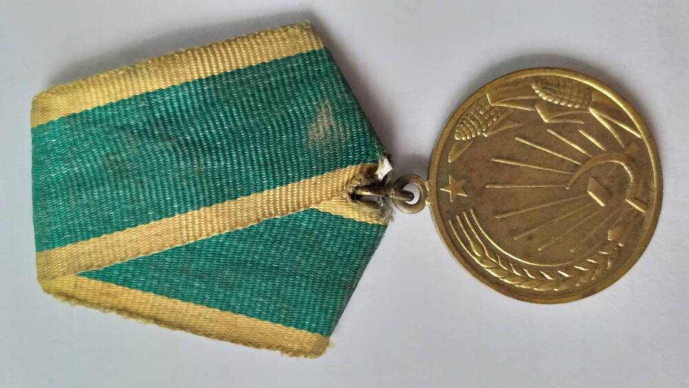 Медаль За освоение целинных земель 05.06.1957 г. Биктимировой М.М.