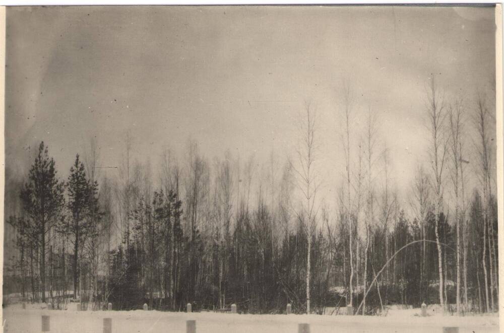 Фото. Марбумстрой. 1934г.