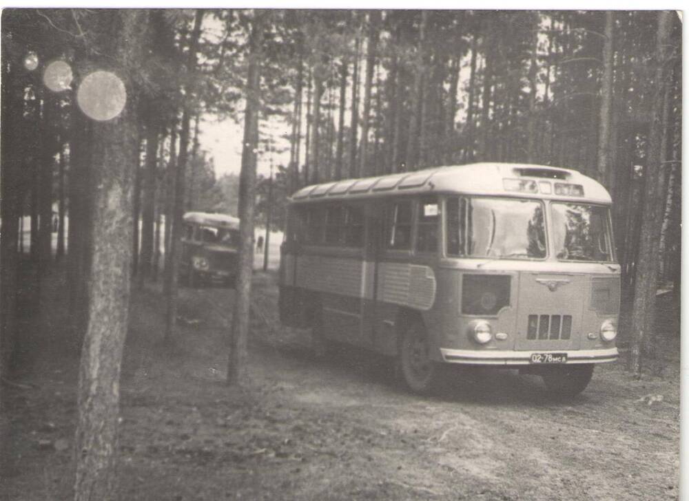 Фото. Приезд в пионер.лагерь  Яльчик 1940-е годы.