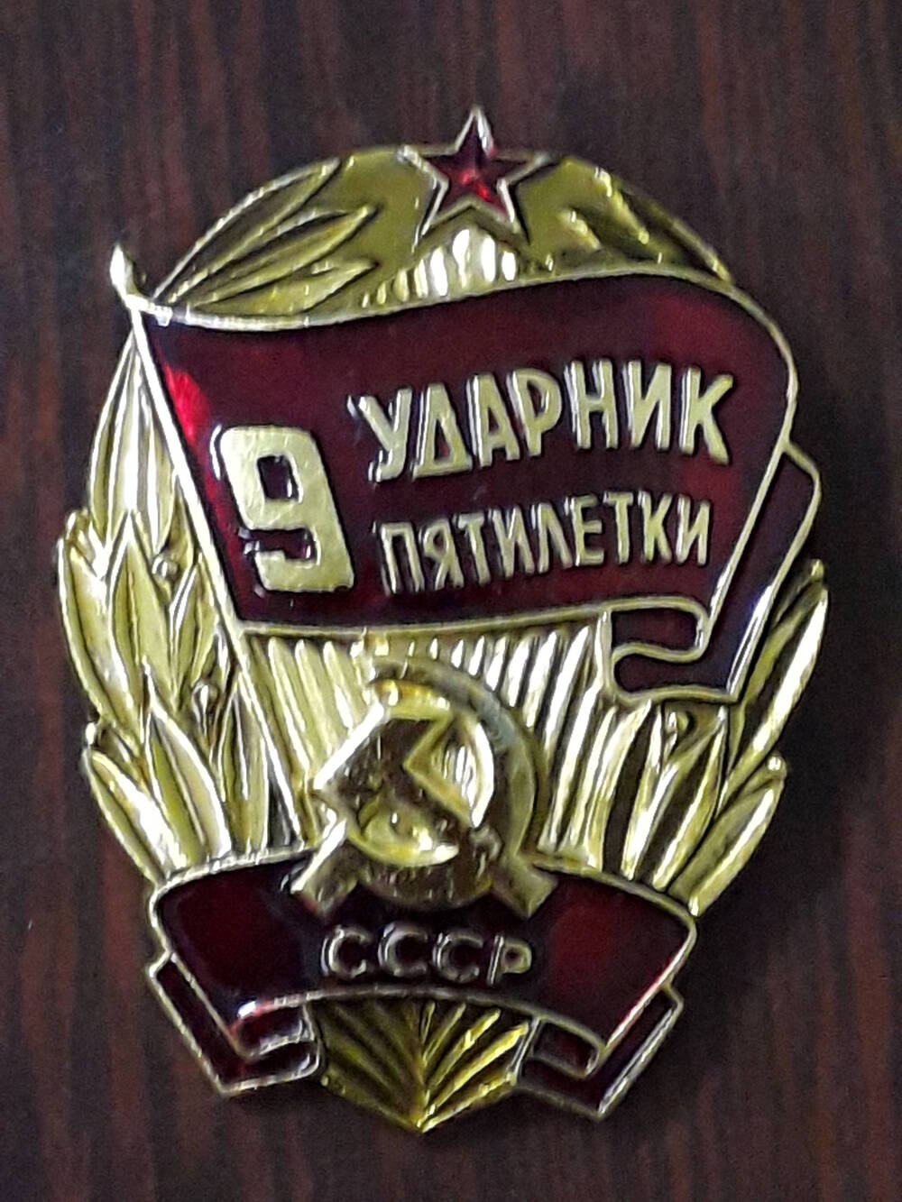 Знак «Ударник 9 пятилетки» Петренко Мария Михайловна