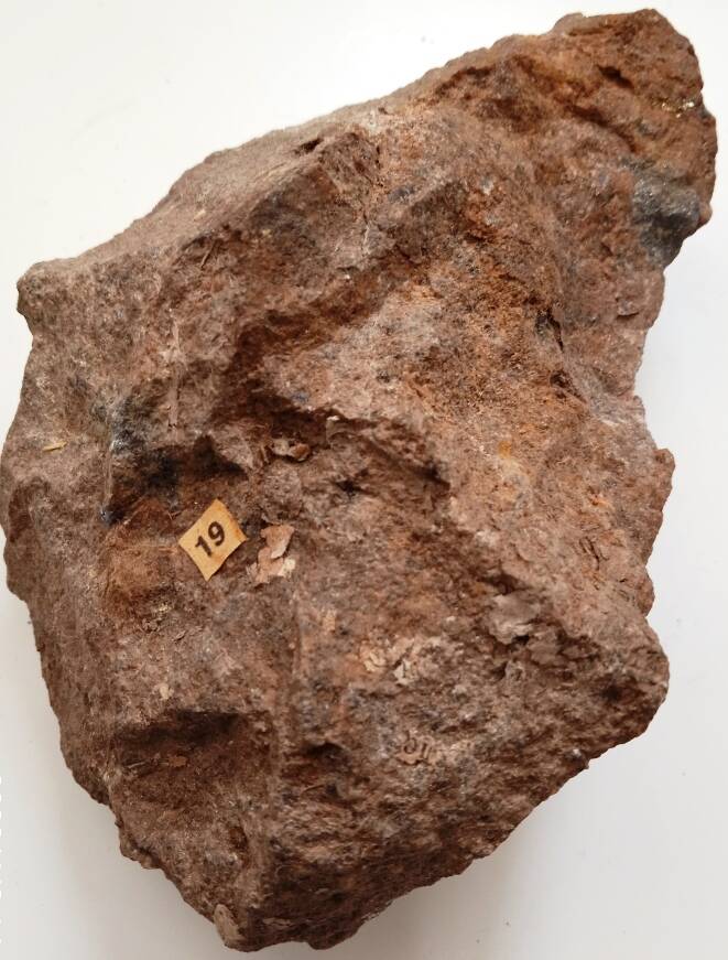 Минерал
«Шеелит (вольфрамовая руда) с молибденитом»