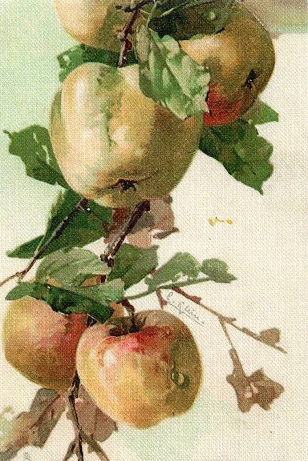 Открытка художественная Ветка белых яблок(репринт).