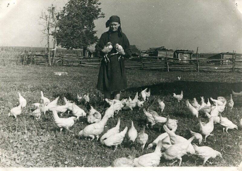 Фотография ч/б. Птичница колхоза «Заветы Ленина» Ильинского сельсовета тов. Смирнова А.И.