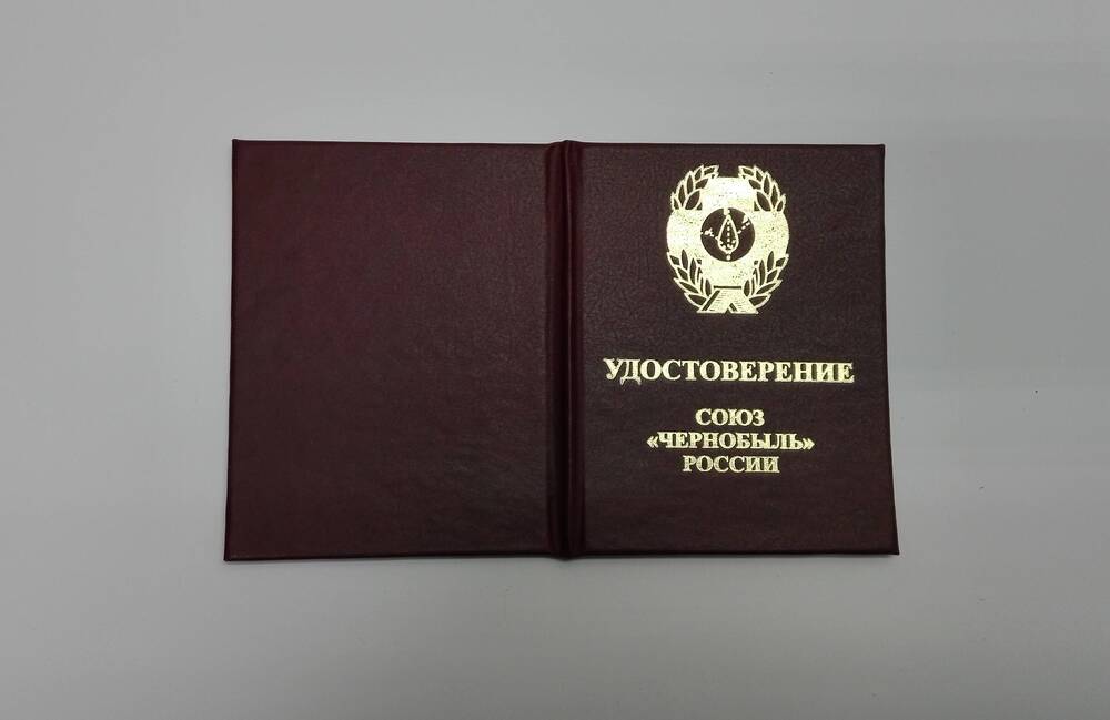 Удостоверение Кирпичева Сергея Сергеевича на знак «В память о катастрофе на Чернобыльской АЭС 25 лет»