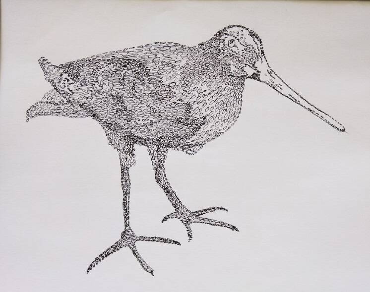 рисунок Птичка - 2