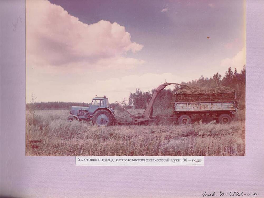 Фото из альбома «Побочное пользование Карасукского лесхоза 1947-1997».