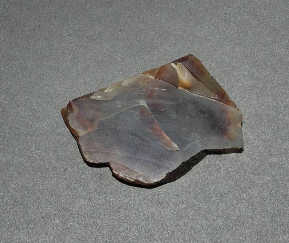 Сердолик  минерал.(шлифованный) из коллекции  горных пород и минералов.