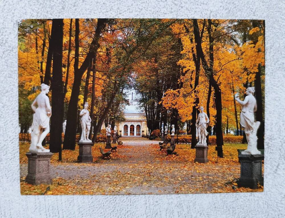 Открытка. Летний сад.  Из серии открыток «Санкт-Петербург».