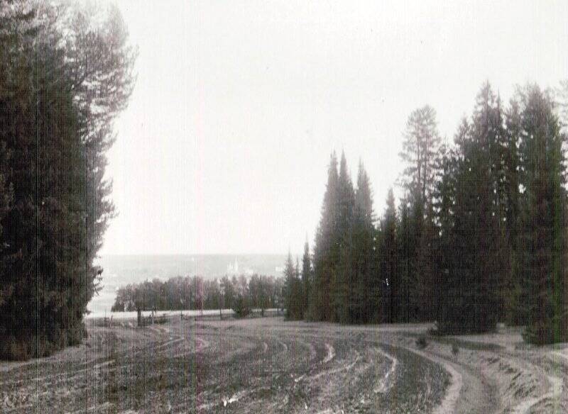 Фотография. Вид на с.Ильинское с северо-западной стороны.