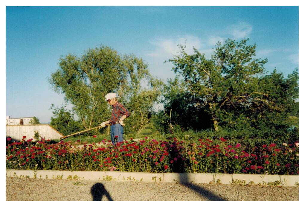Цветное фото. А.Х.Хакимов. Цветут гвоздики. Июль 1997г.