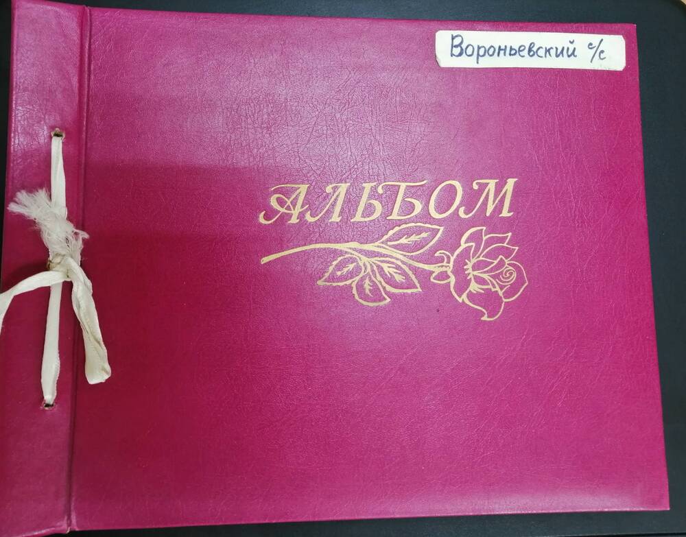 Альбом Письма-воспоминания участников войны. Вороньевский с/с