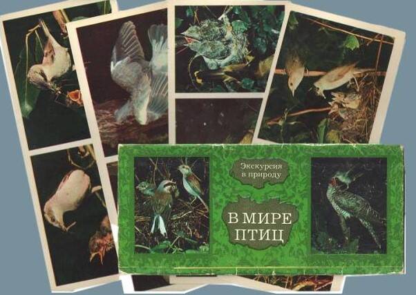 Набор открыток «В мире птиц». Выпуск 1