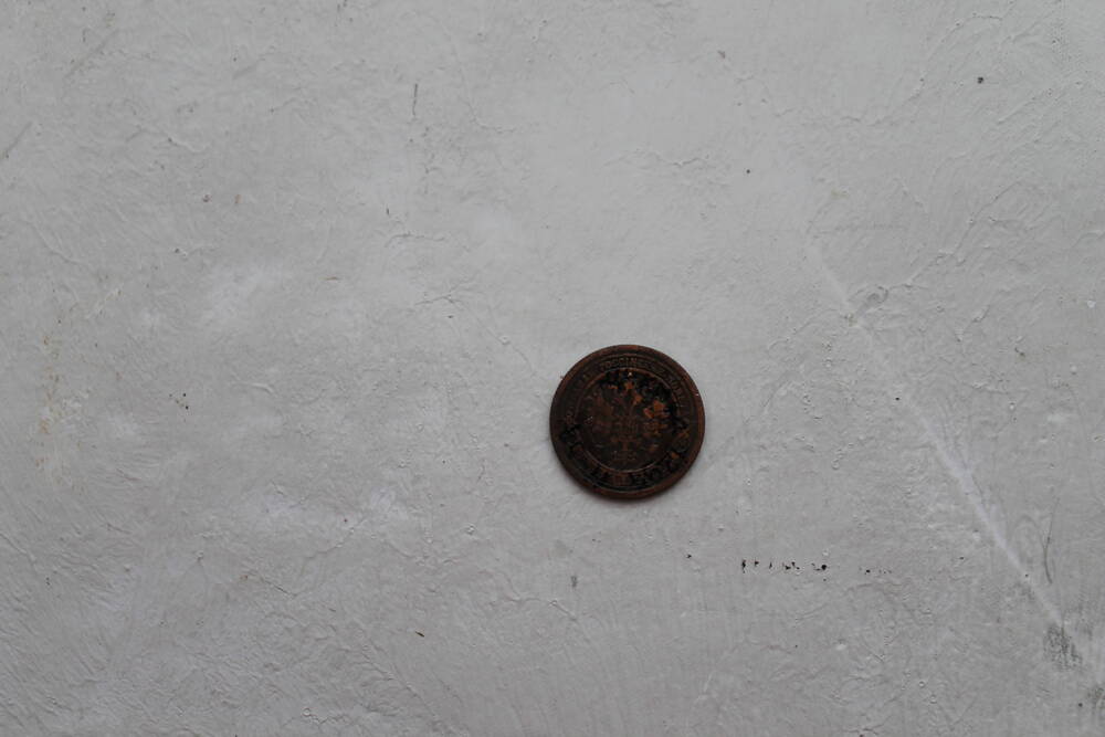 Монета 1 копейка 1895 г.