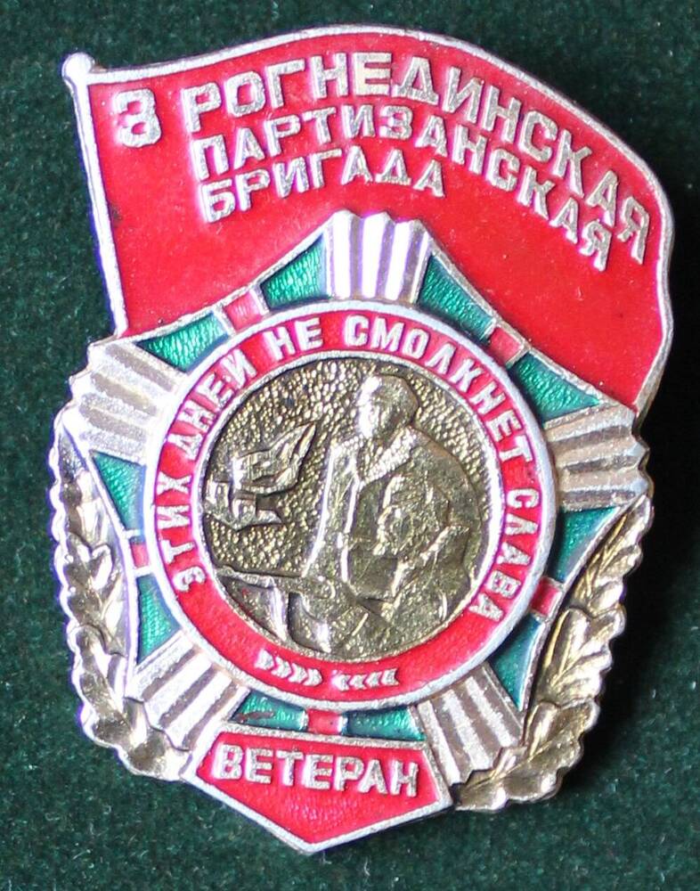 Знак нагрудный «3 Рогнединская партизанская бригада. Ветеран»