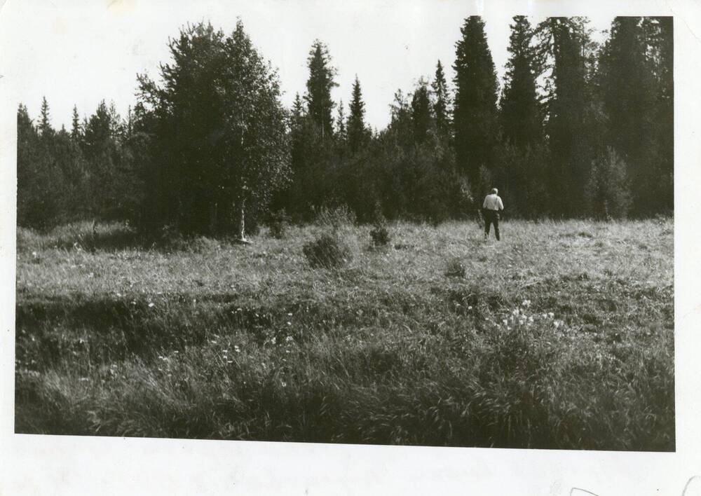 Фото ч/б Берег реки Ярега, где стояла буровая вышка Воронова Ю. А. в 1905-1907 годах