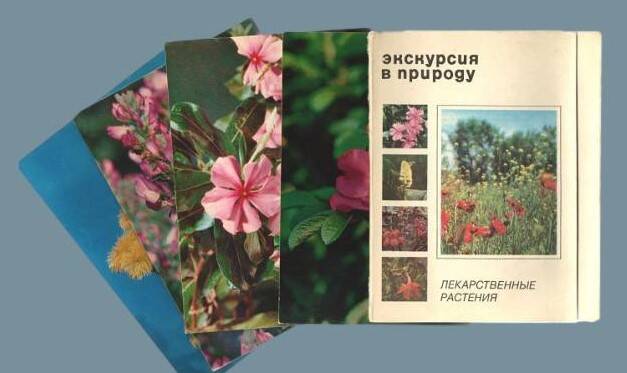 Набор открыток  «Лекарственные растения». Выпуск 1